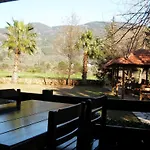 Salkim