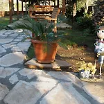 Salkim Ekincik