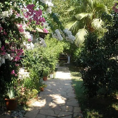 ベッド・アンド・ブレックファスト Salkim Ekincik