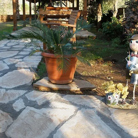 Salkim Ekincik