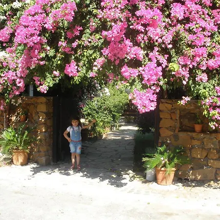 Bed & Breakfast Salkim 3*