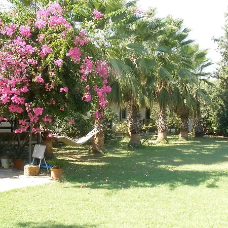 Salkim Bed & Breakfast Ekincik