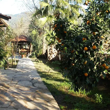 Oda ve Kahvaltı Salkim Ekincik