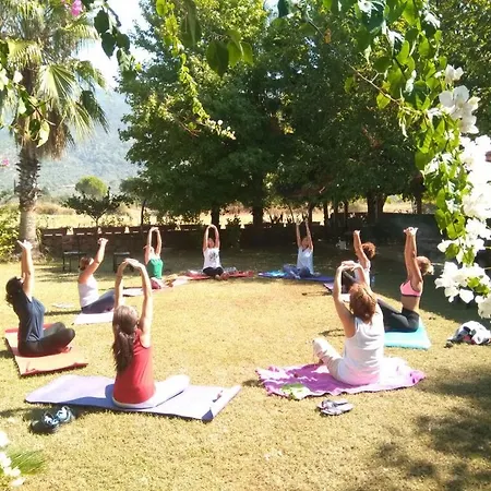 Salkim Bed & Breakfast