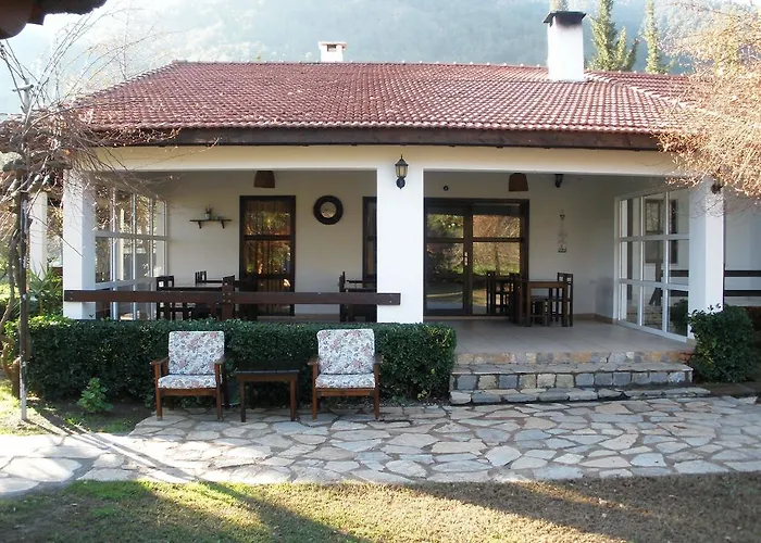 Salkim Ekincik