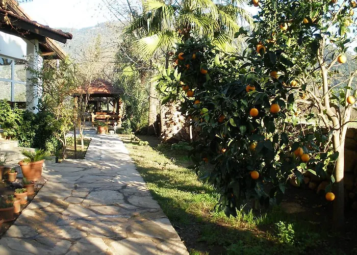 Bed & Breakfast Salkim Ekincik